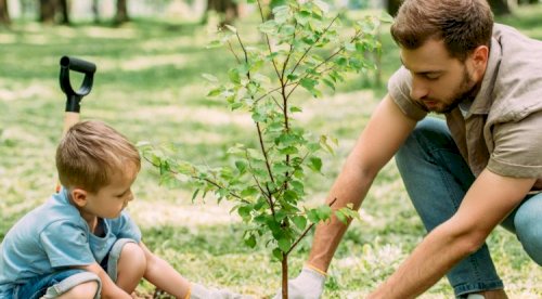 Why We Plant Trees