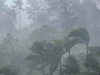 Kerala heavy rainfall: IMD issues orange and red alert in 16 districts
