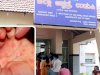 Tomato fever scare starts in India: 26 children detected in this state