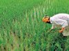 PM Kisan eKYC deadline extended: Check last date and step by step guide
