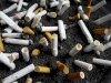 Dirty Secrets:- Did You Know that Tobacco Industry Destroy the Environment and Hides It