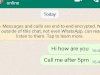 WhatsApp new crucial privacy feature: not allowed screenshot