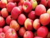 Apple Side Effects: Apple good for health, but eating too much can cause these problems