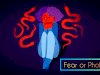 What Is the Difference Between Fear and Phobia?