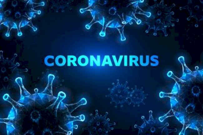 How does India's coronavirus growth curve compare to other countries?