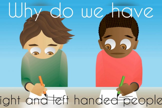 Why Do We Have Left-Handed & Right-Handed People?