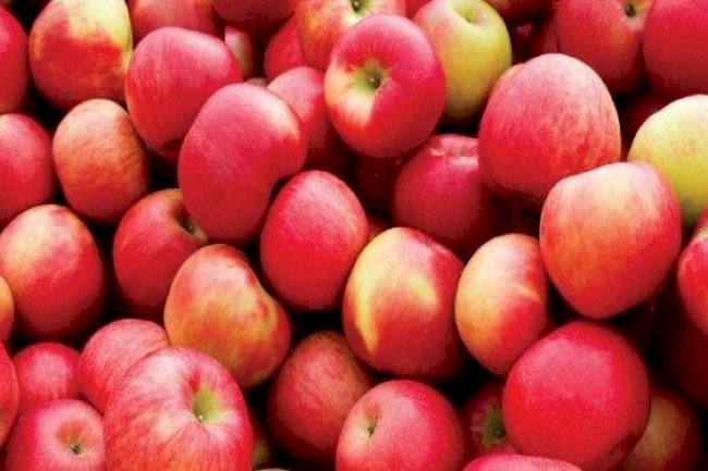Apple Side Effects: Apple good for health, but eating too much can cause these problems