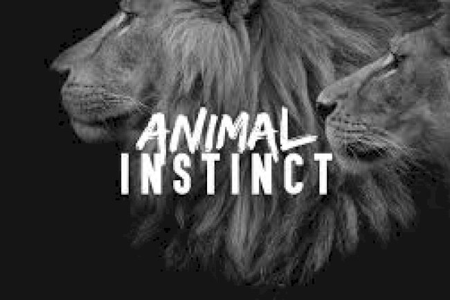 What Does Animal Instinct Mean?