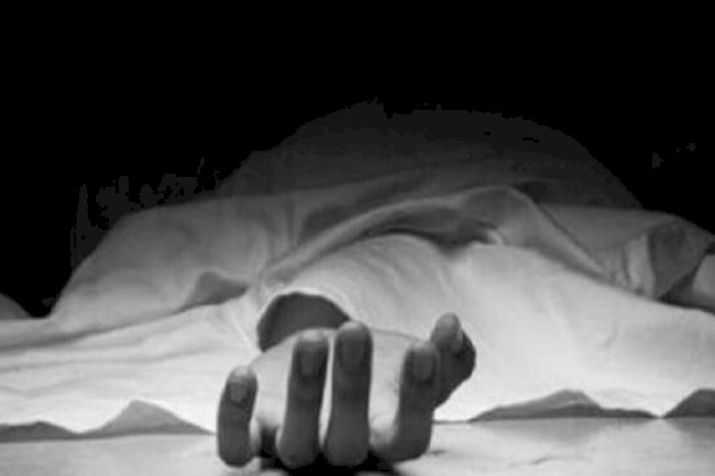 Three officials died after their car fell into a ditch in Jammu and Kashmir
