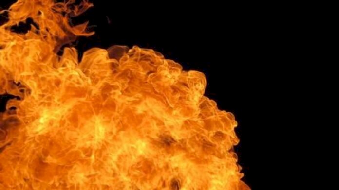 Tamil Nadu Fire: Forest fire erupts near Kodaikanal hills