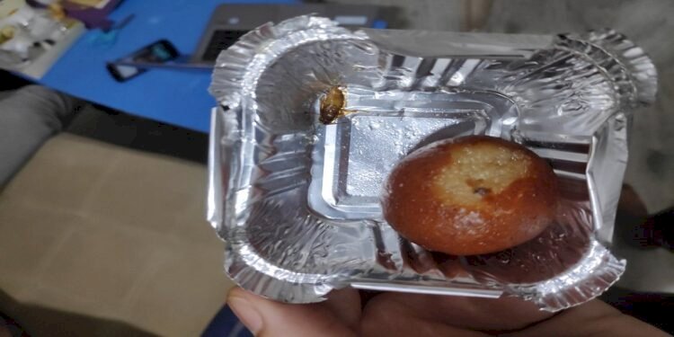 Karnataka: Dead cockroach in jamun bowl: Hotel ordered to pay Rs 55,000