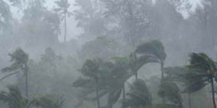 Kerala heavy rainfall: IMD issues orange and red alert in 16 districts