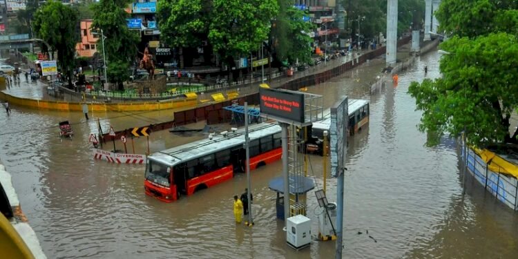 Heavy rainfall in Karnataka, IMD issued alert for these districts