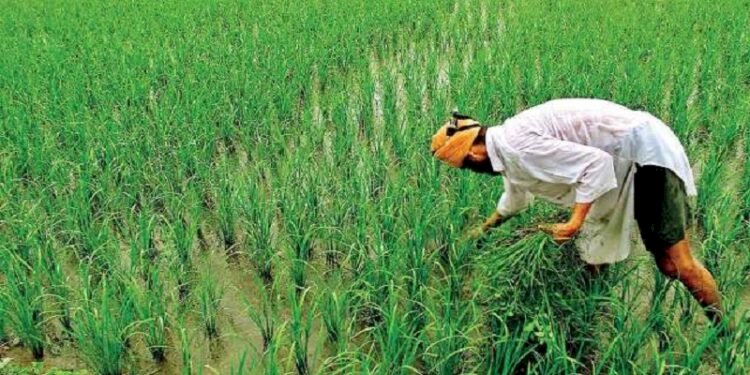 PM Kisan eKYC deadline extended: Check last date and step by step guide