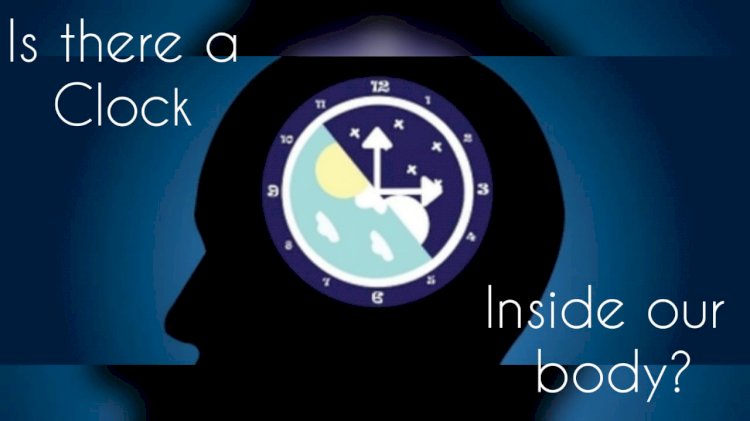 Is there a clock inside our body?