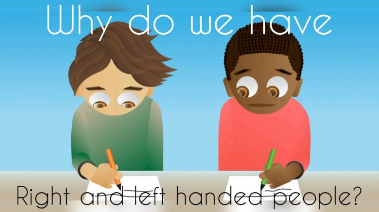 Why Do We Have Left-Handed & Right-Handed People?