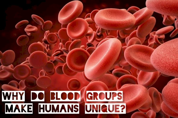 Why Do Blood Groups Make Humans Unique?
