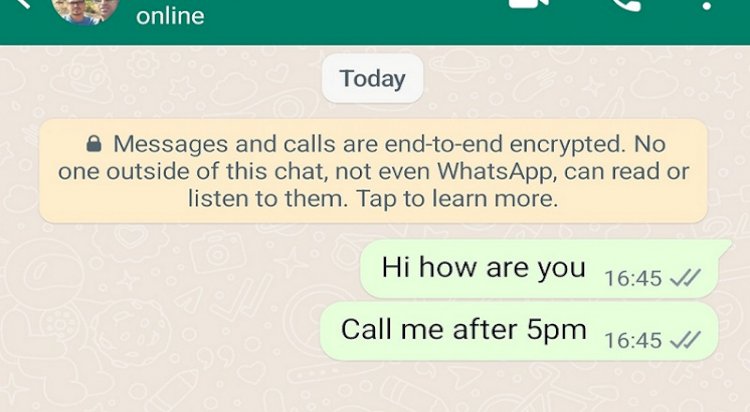 WhatsApp new crucial privacy feature: not allowed screenshot