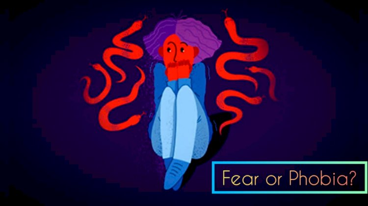 What Is the Difference Between Fear and Phobia?