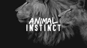 What Does Animal Instinct Mean?