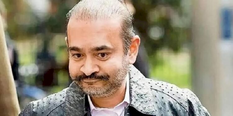 Nirav Modi Closer to Extradition, Loses Appeal in UK Court